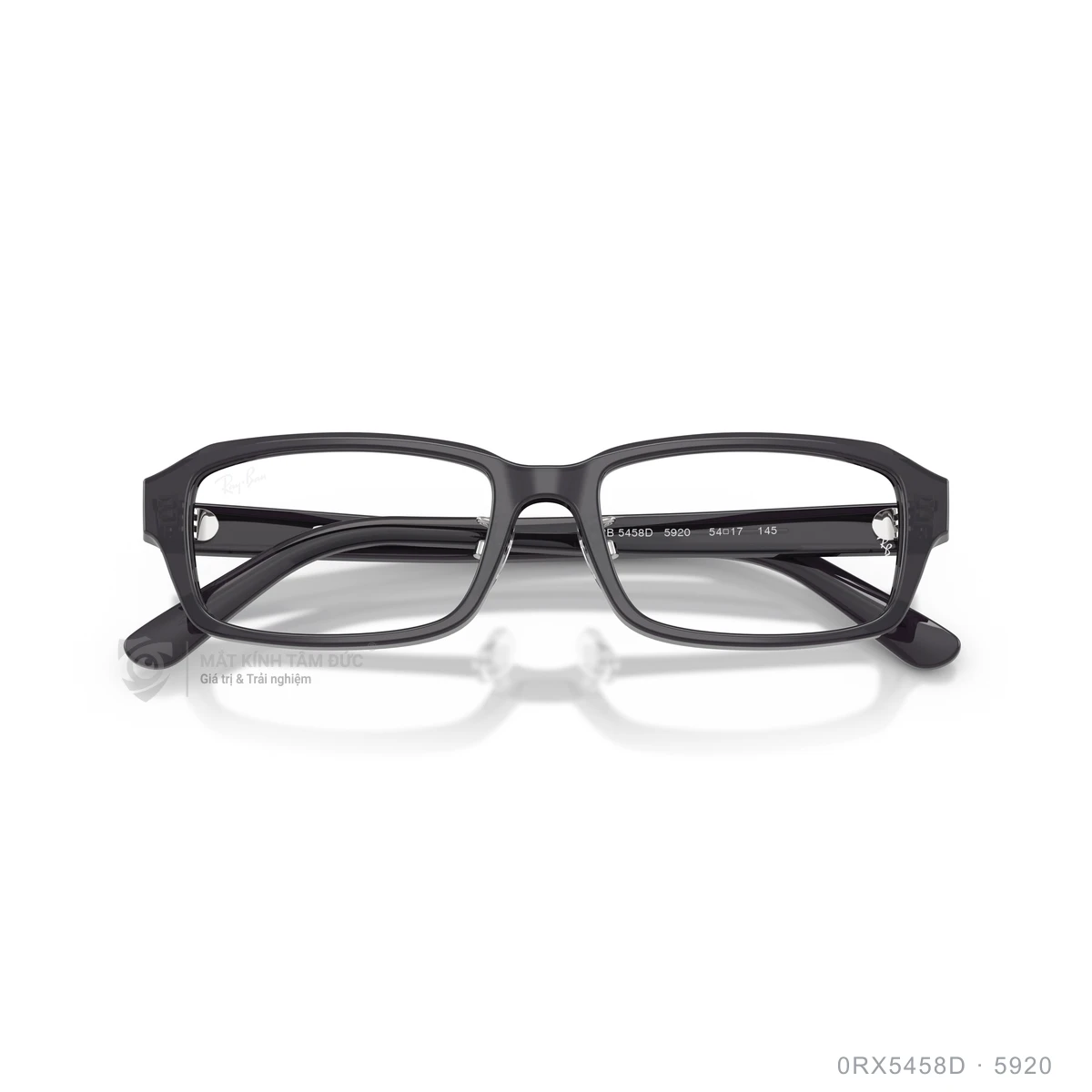 Gọng kính Rayban 0RX5458D - Ảnh 18