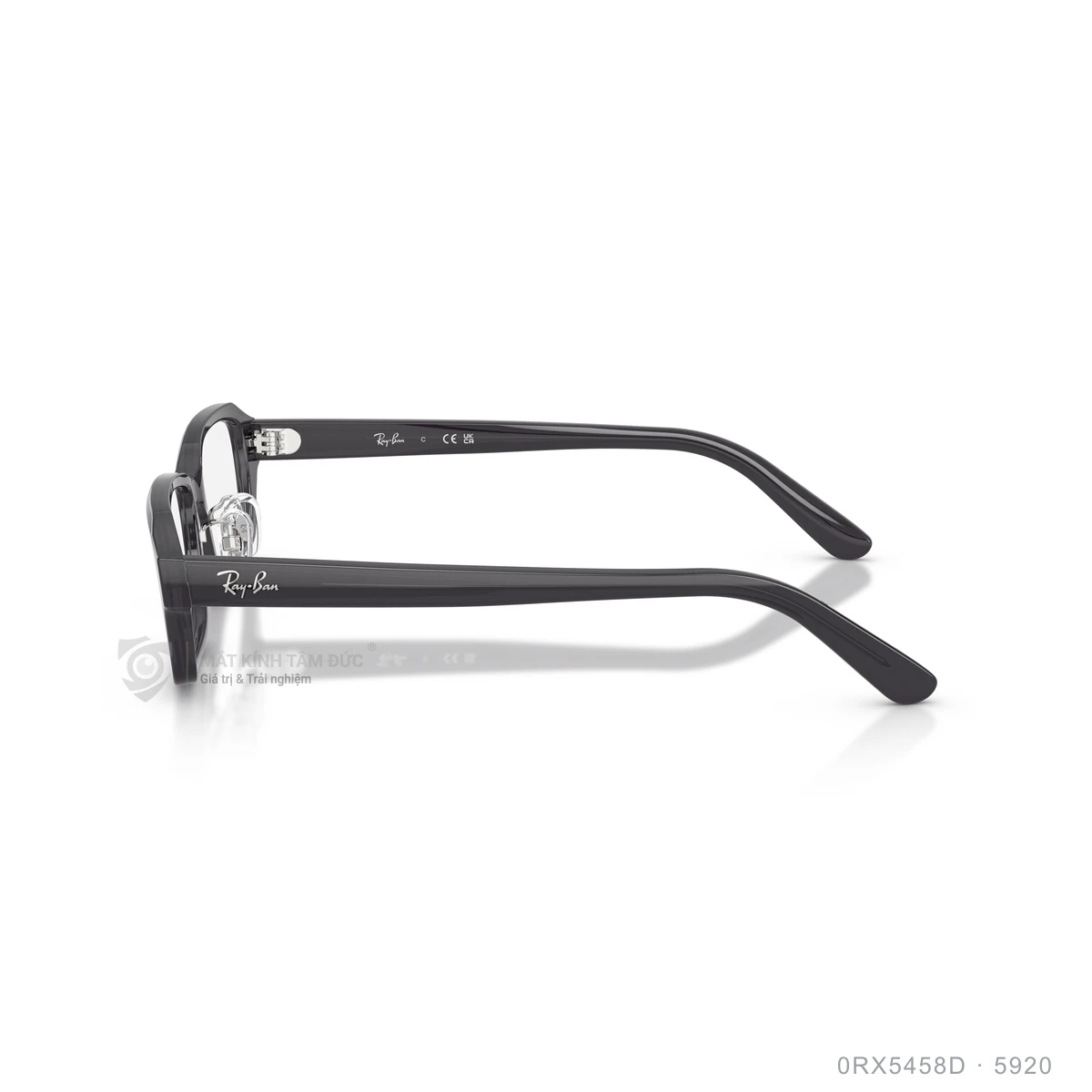 Gọng kính Rayban 0RX5458D - Ảnh 19