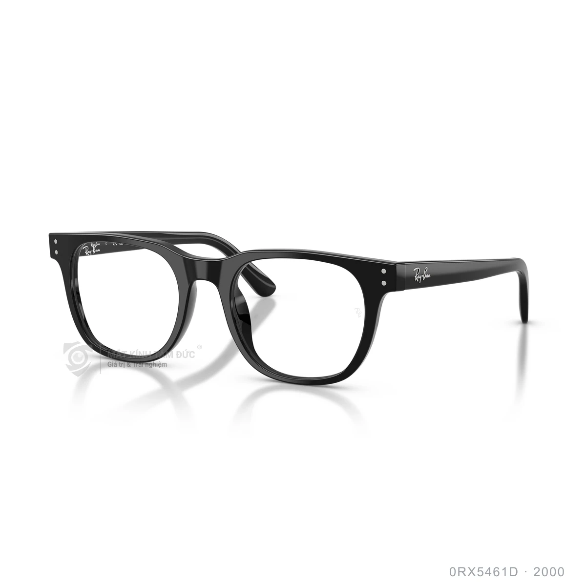 Chi tiết góc nghiêng Gọng kính Rayban 0RX5461D