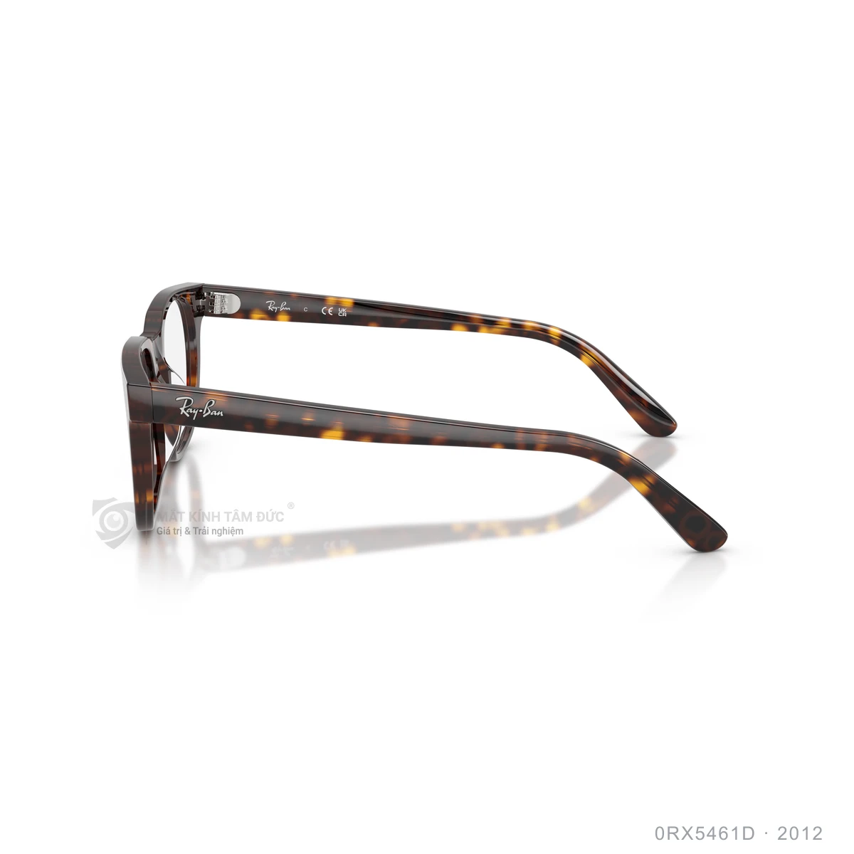 Gọng kính Rayban 0RX5461D - Ảnh 9