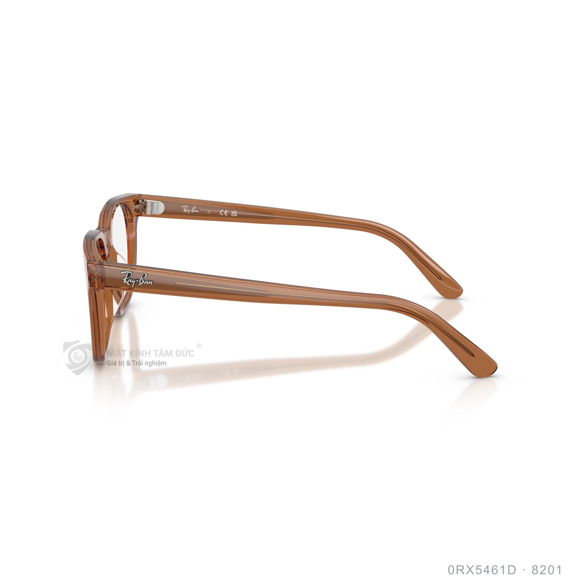 Gọng kính Rayban 0RX5461D - Ảnh 14
