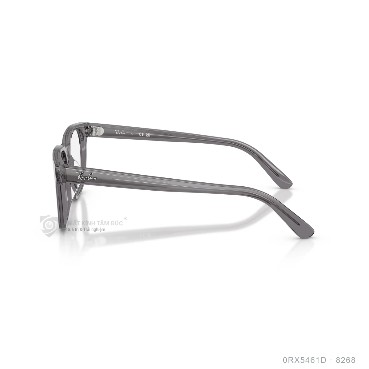 Gọng kính Rayban 0RX5461D - Ảnh 19