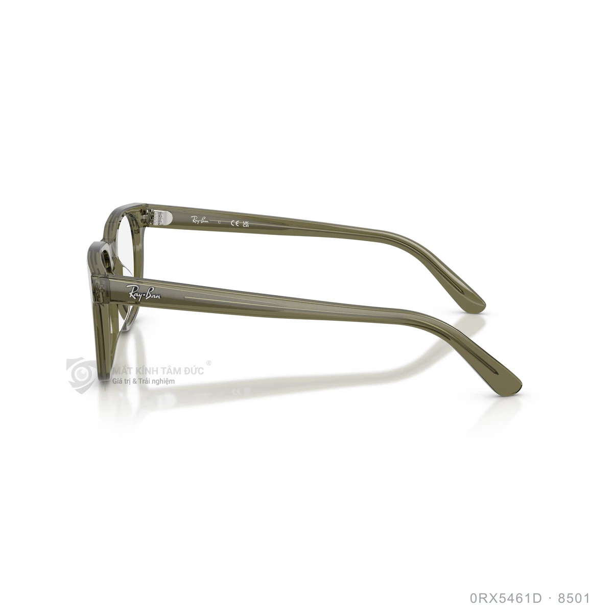 Gọng kính Rayban 0RX5461D - Ảnh 24