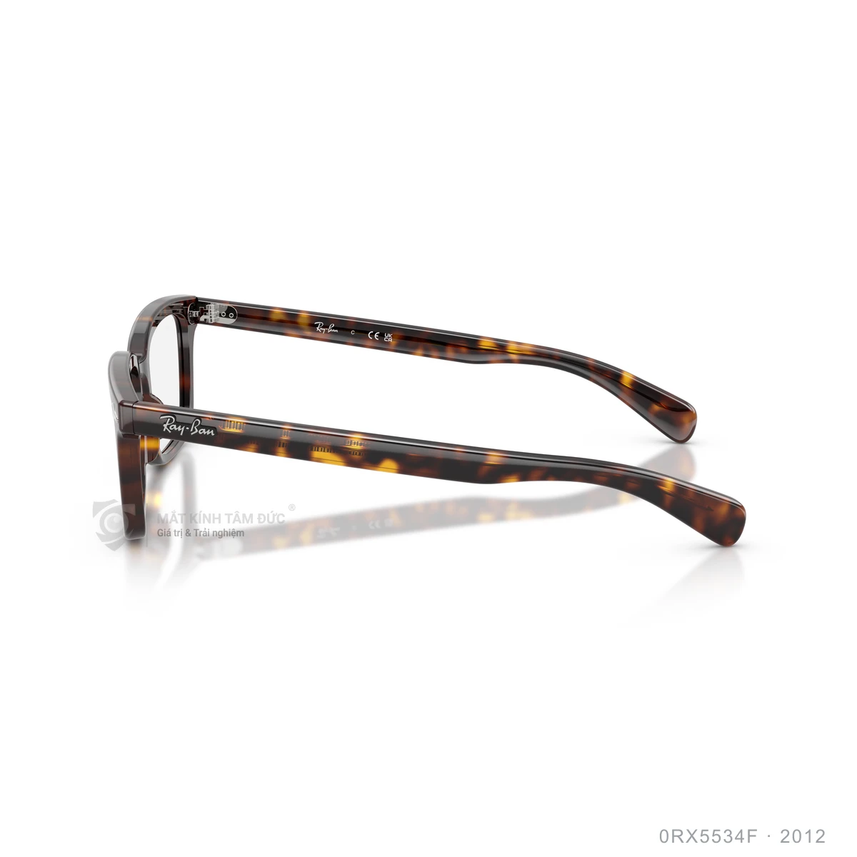 Gọng kính Rayban 0RX5534F - Ảnh 9