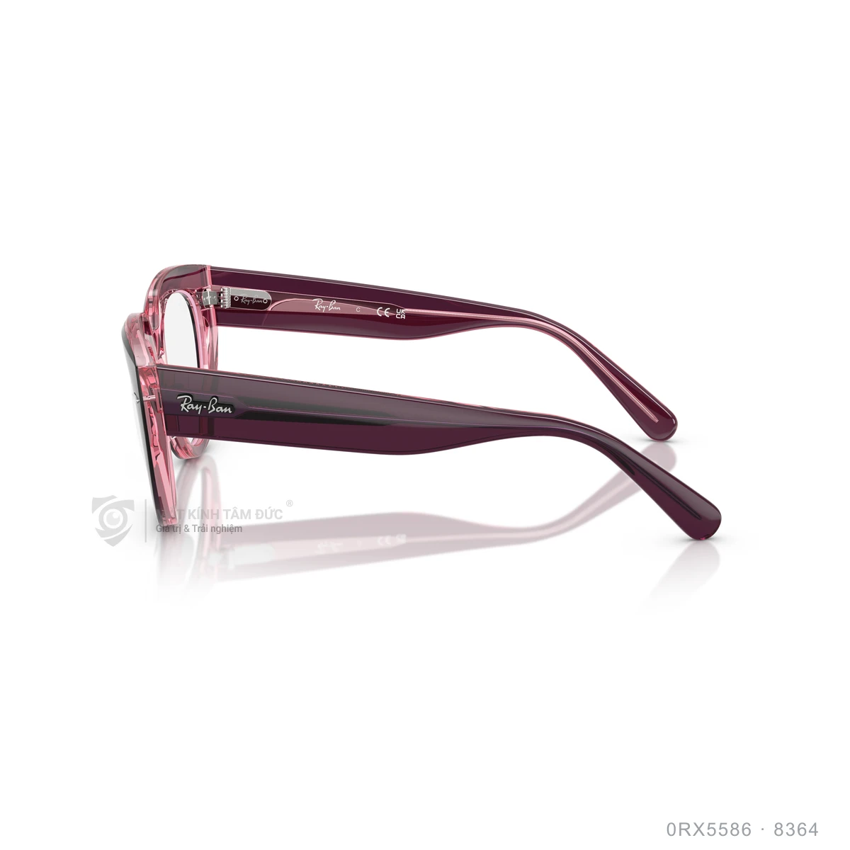 Gọng kính Rayban 0RX5586 - Ảnh 9