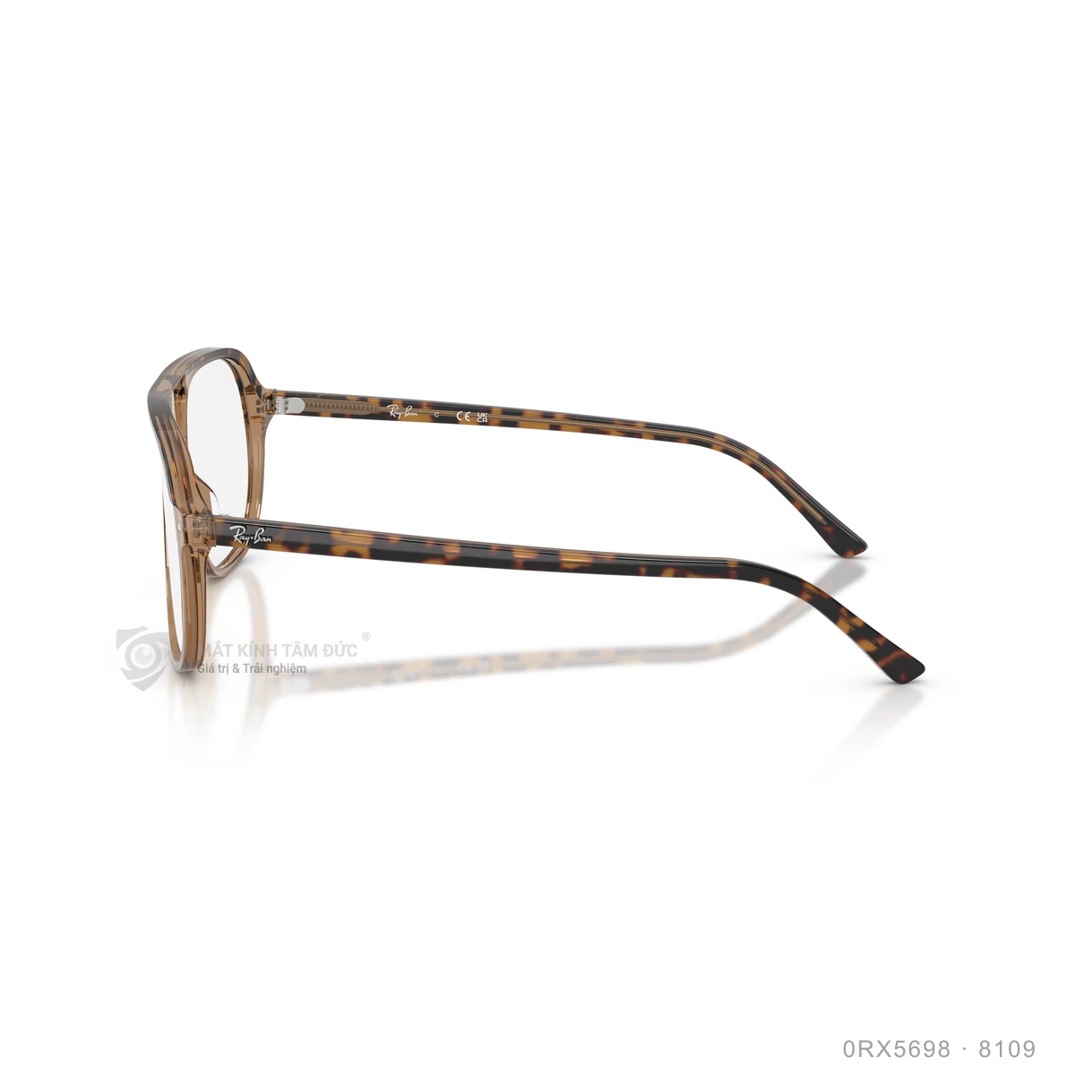 Gọng kính Rayban 0RX5698 - Ảnh 19