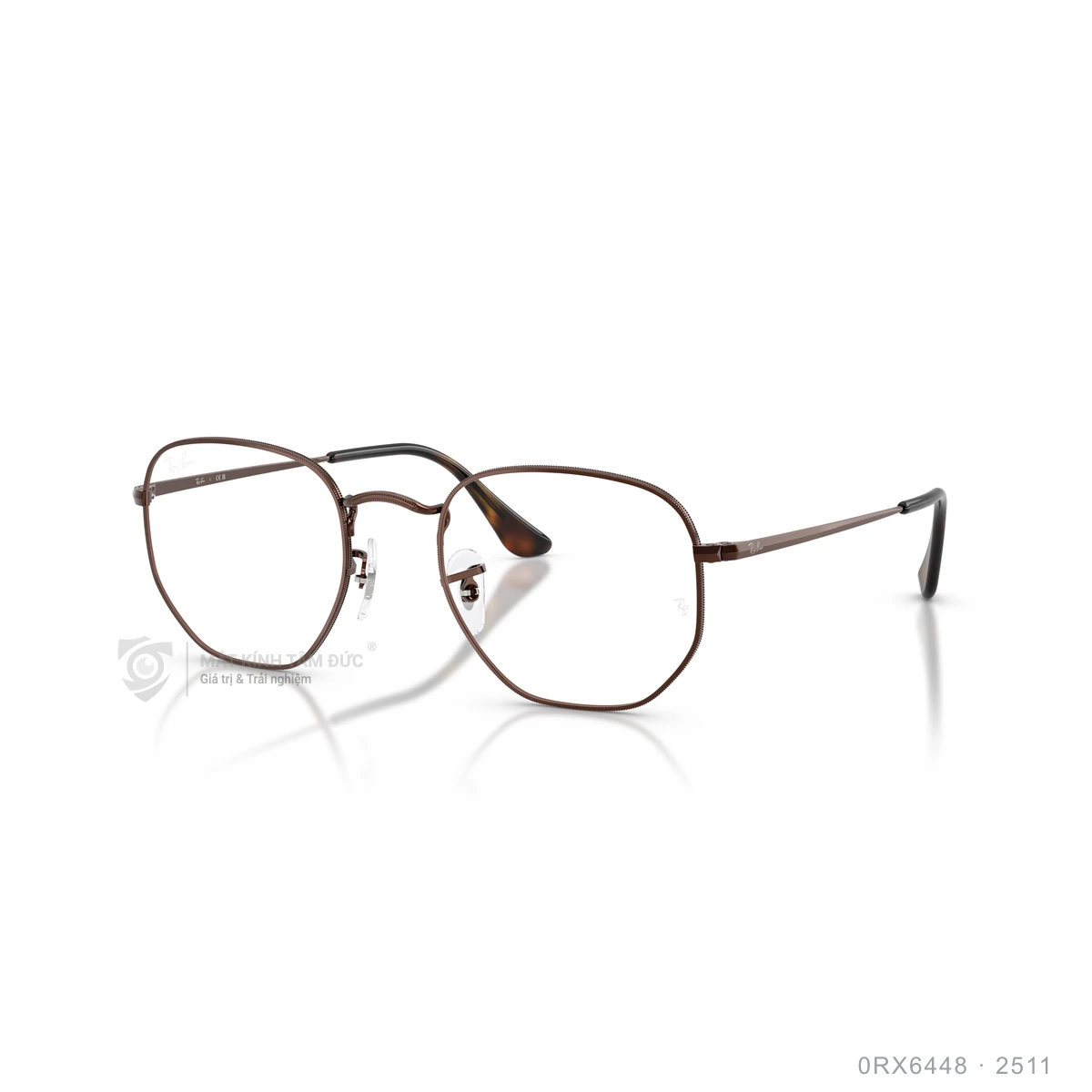 Chi tiết góc nghiêng Gọng kính Rayban 0RX6448