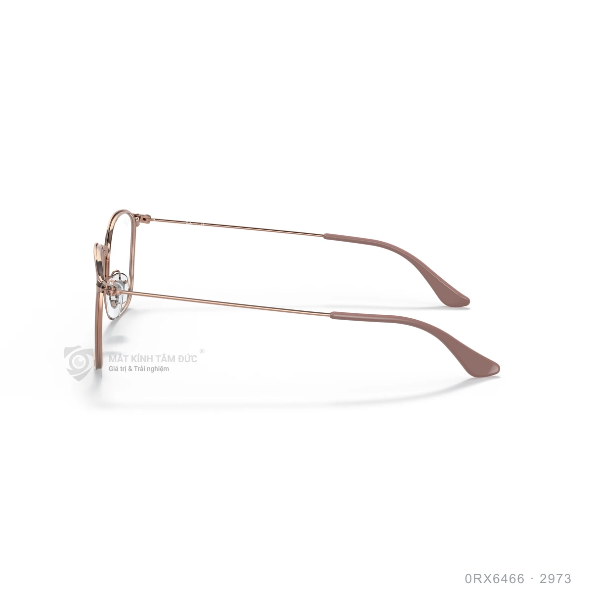 Gọng kính Rayban 0RX6466 - Ảnh 9