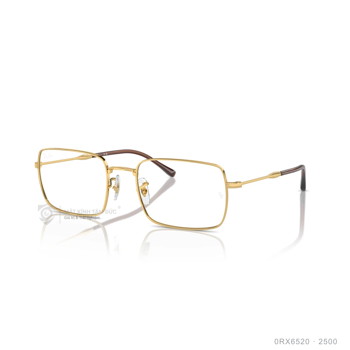Chi tiết góc nghiêng Gọng kính Rayban 0RX6520