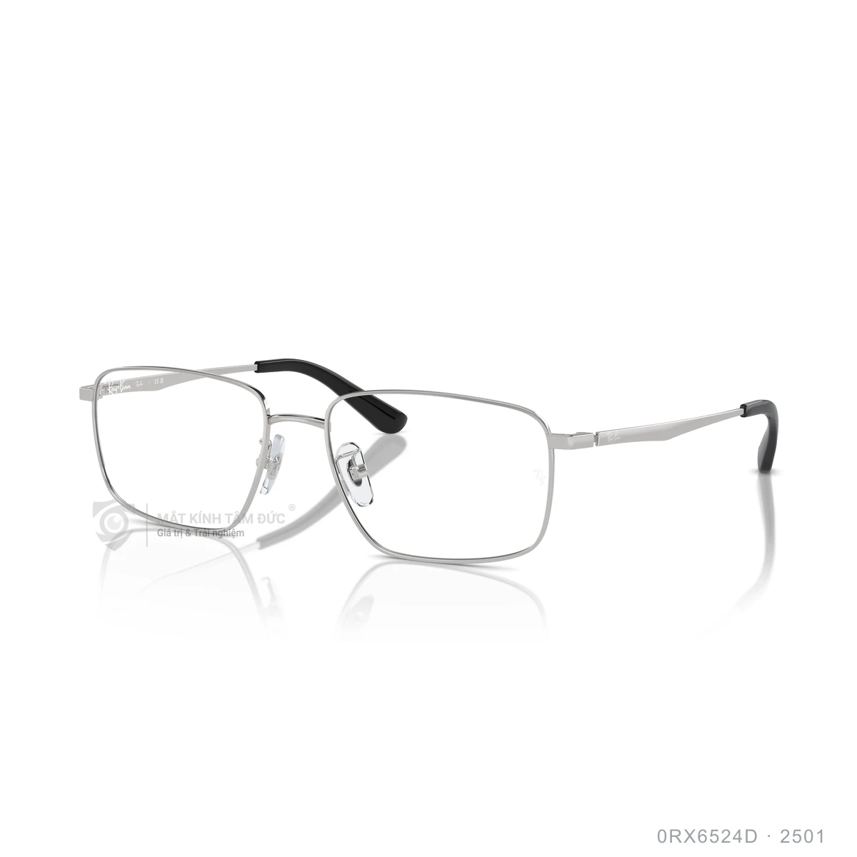 Chi tiết góc nghiêng Gọng kính Rayban 0RX6524D