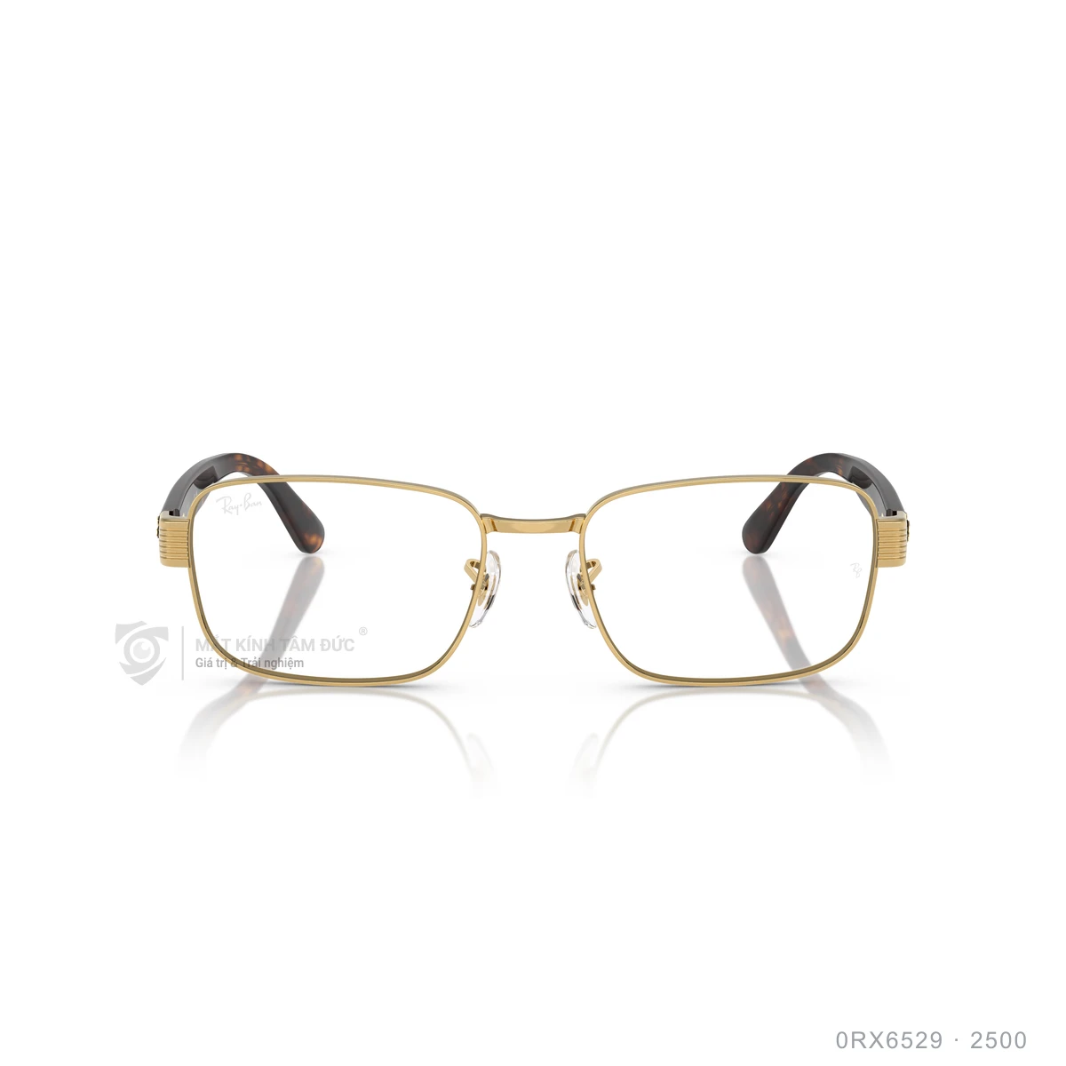 Hình ảnh thực tế Gọng kính Rayban 0RX6529