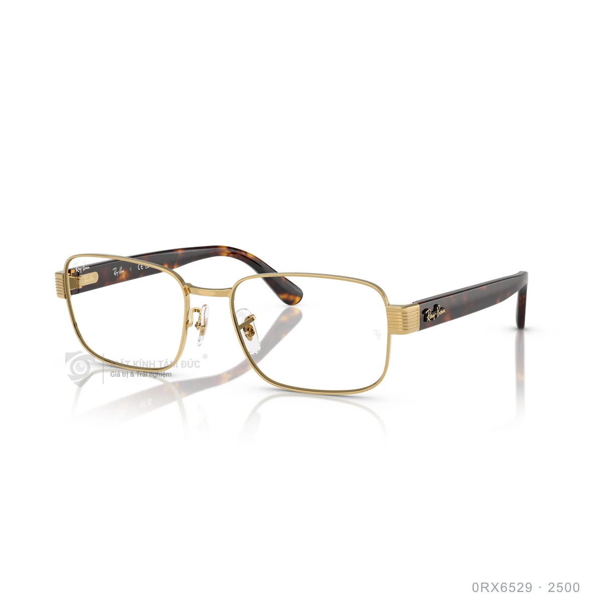 Chi tiết góc nghiêng Gọng kính Rayban 0RX6529