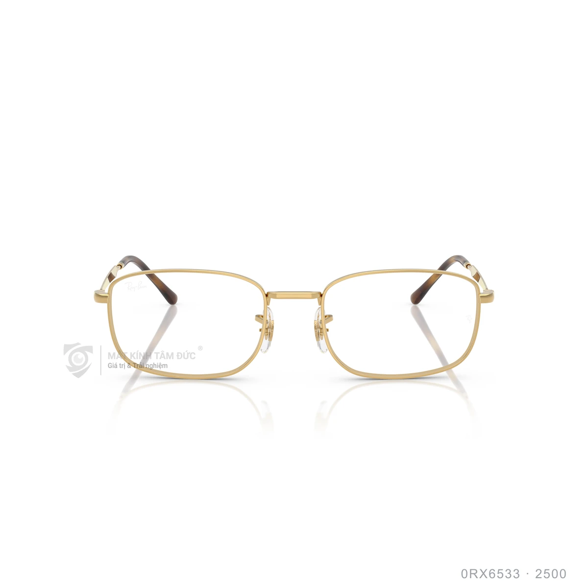 Hình ảnh thực tế Gọng kính Rayban 0RX6533