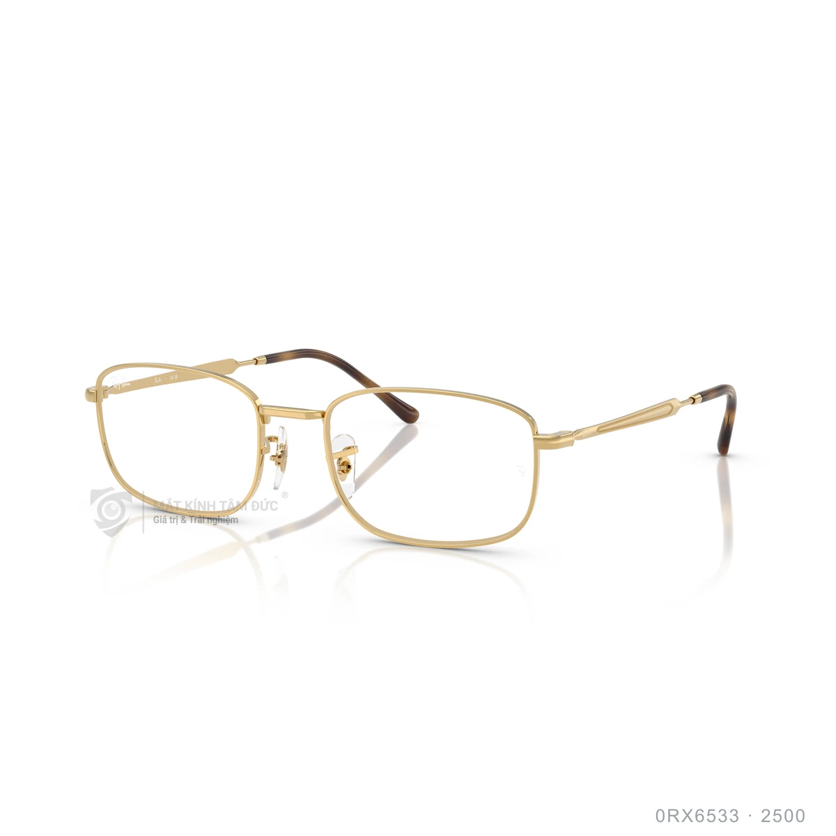 Chi tiết góc nghiêng Gọng kính Rayban 0RX6533