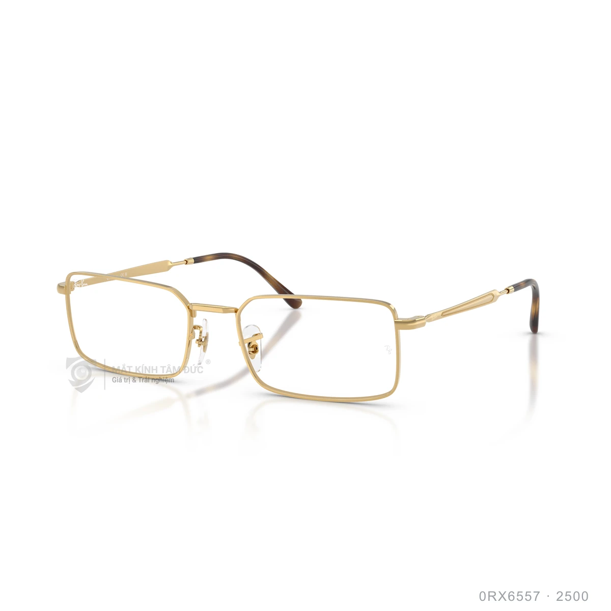 Chi tiết góc nghiêng Gọng kính Rayban 0RX6557