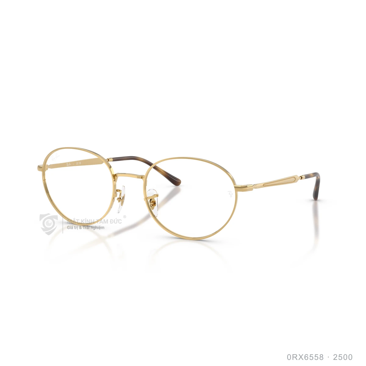 Chi tiết góc nghiêng Gọng kính Rayban 0RX6558