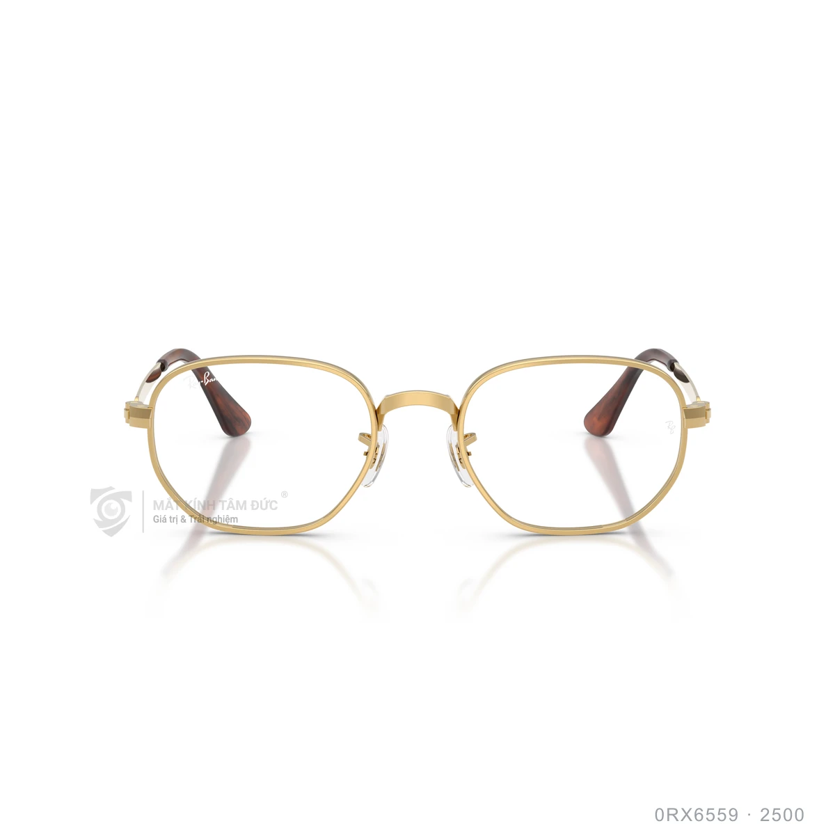 Hình ảnh thực tế Gọng kính Rayban 0RX6559