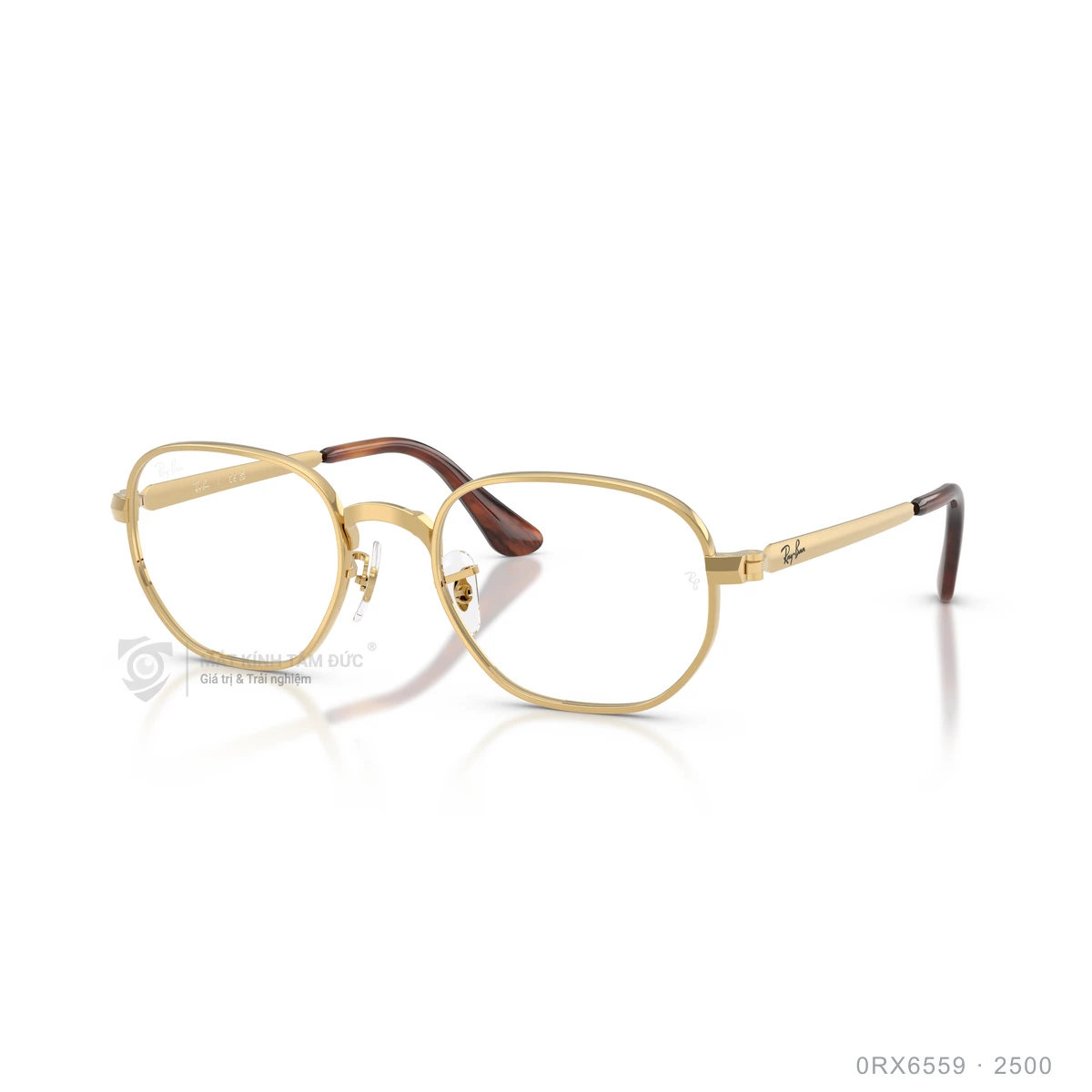Chi tiết góc nghiêng Gọng kính Rayban 0RX6559