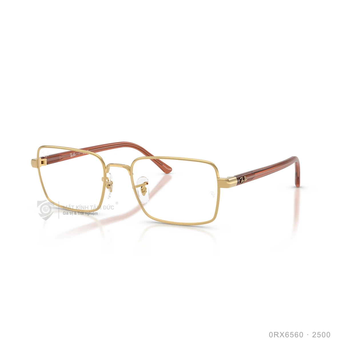 Chi tiết góc nghiêng Gọng kính Rayban 0RX6560