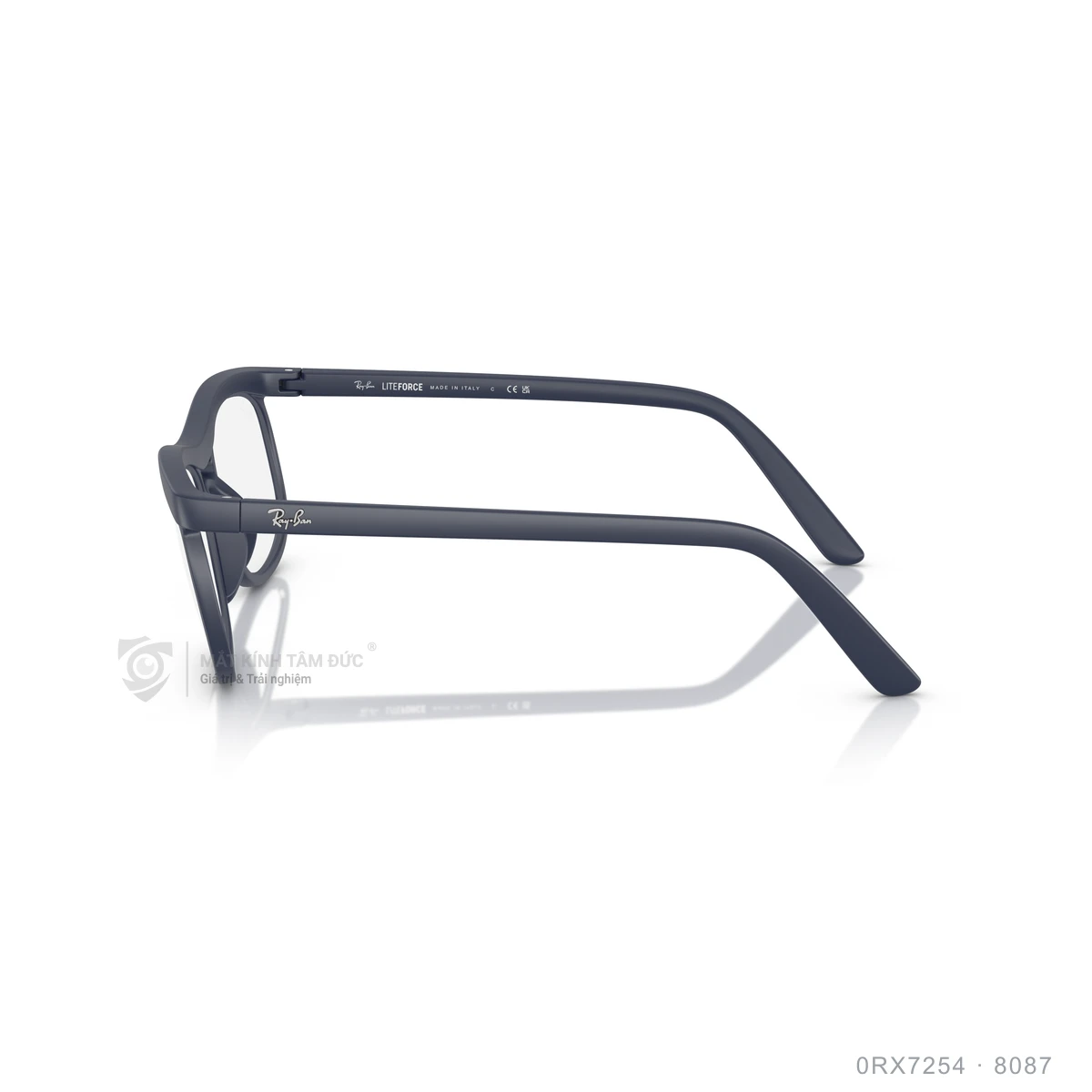 Gọng kính Rayban 0RX7254 - Ảnh 19