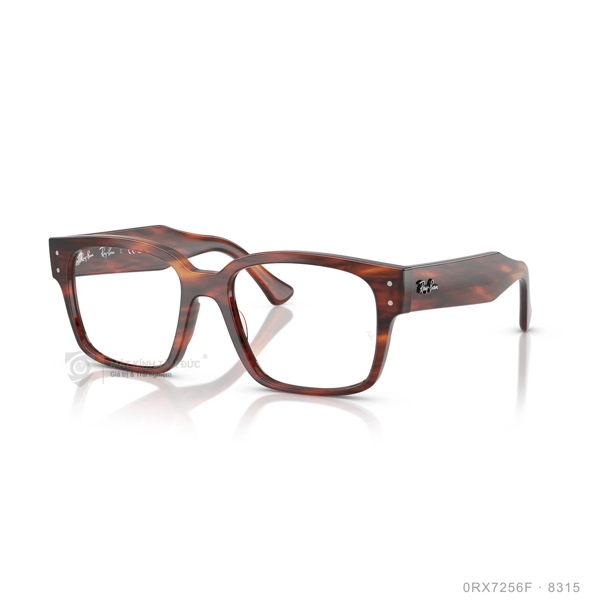 Chi tiết góc nghiêng Gọng kính Rayban 0RX7256F