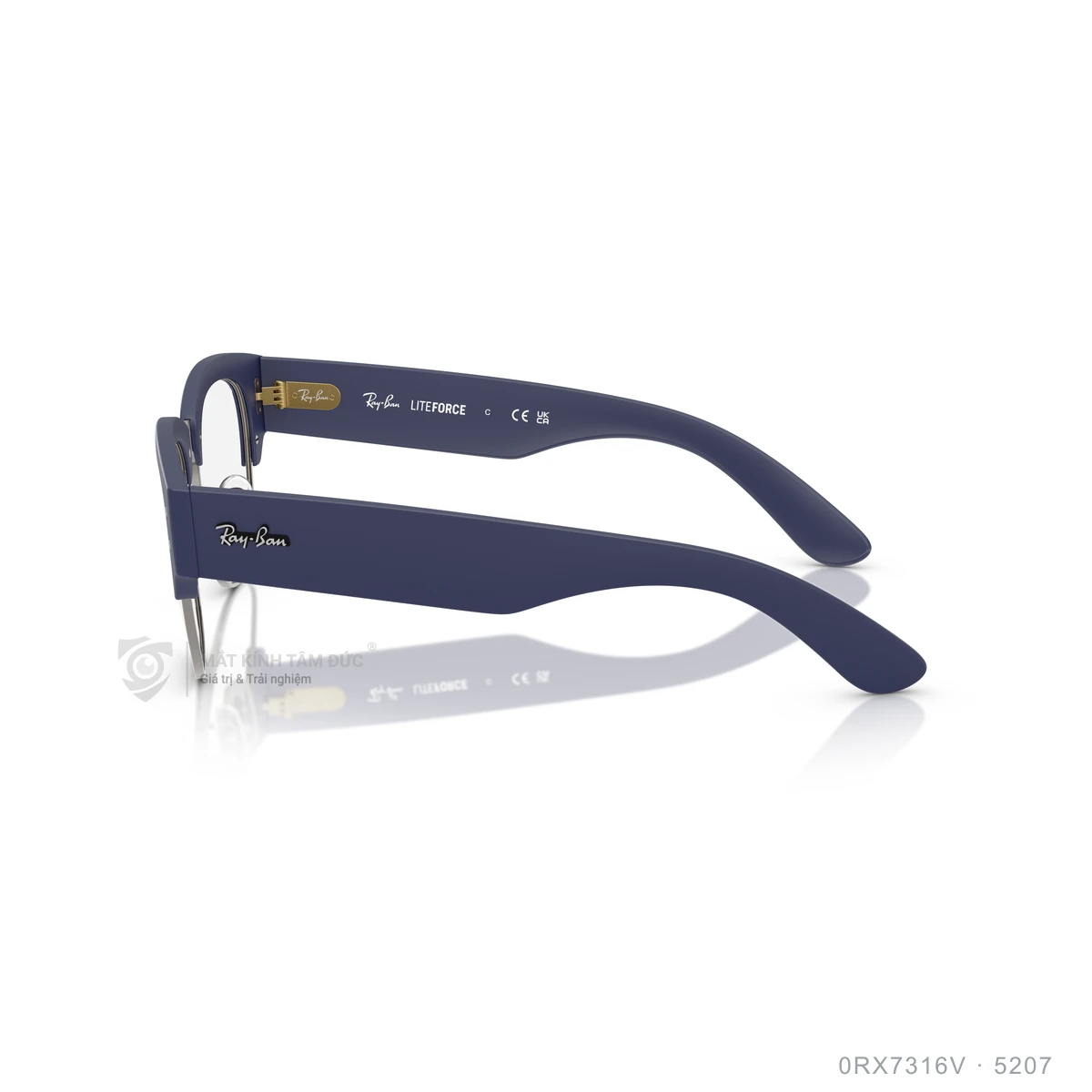 Gọng kính Rayban 0RX7316V - Ảnh 9