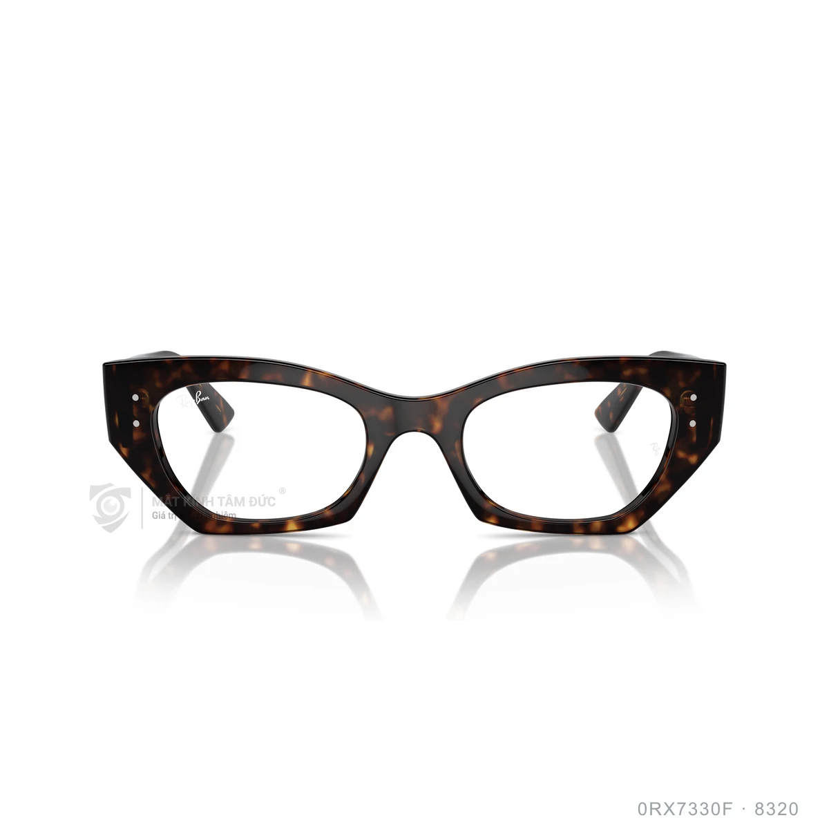 Hình ảnh thực tế Gọng kính Rayban 0RX7330F