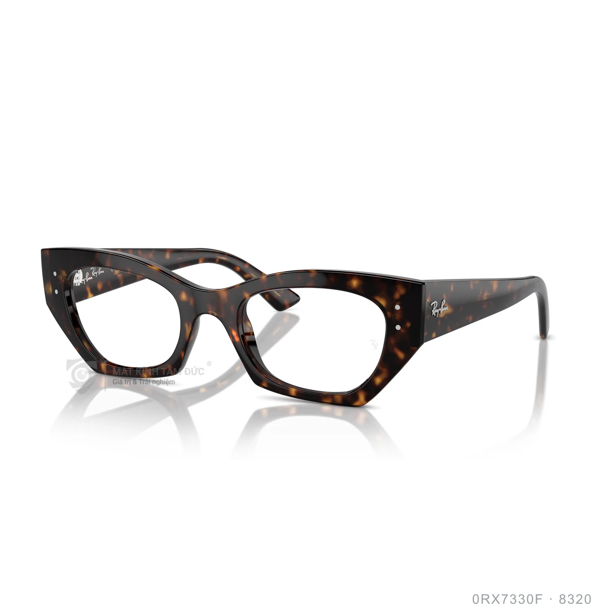 Chi tiết góc nghiêng Gọng kính Rayban 0RX7330F