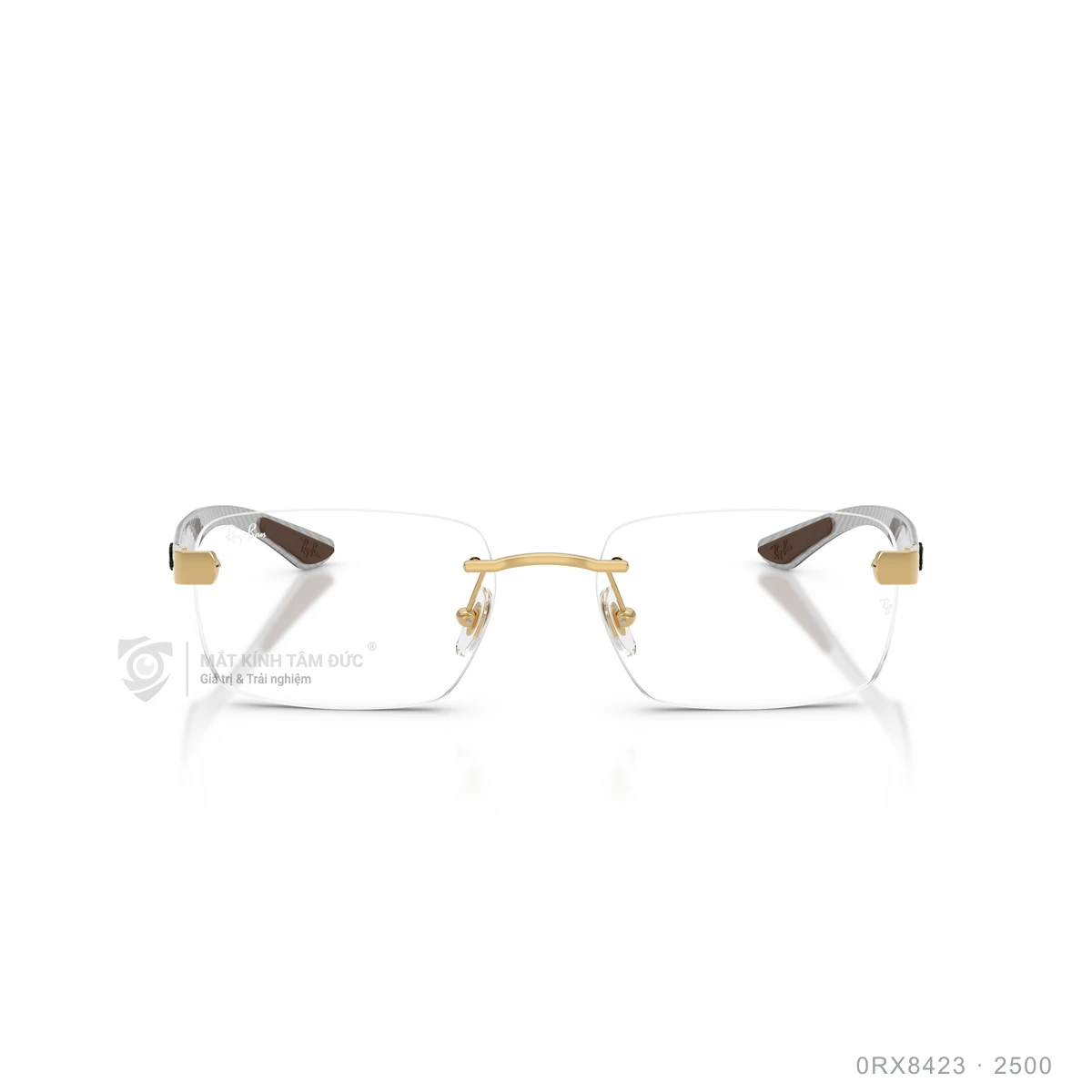 Hình ảnh thực tế Gọng kính Rayban 0RX8423