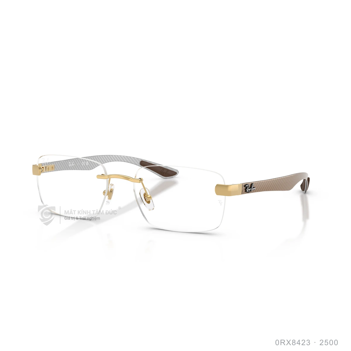 Chi tiết góc nghiêng Gọng kính Rayban 0RX8423