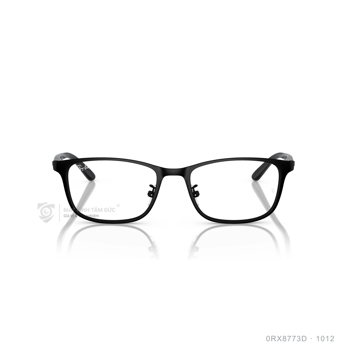 Hình ảnh thực tế Gọng kính Rayban 0RX8773D