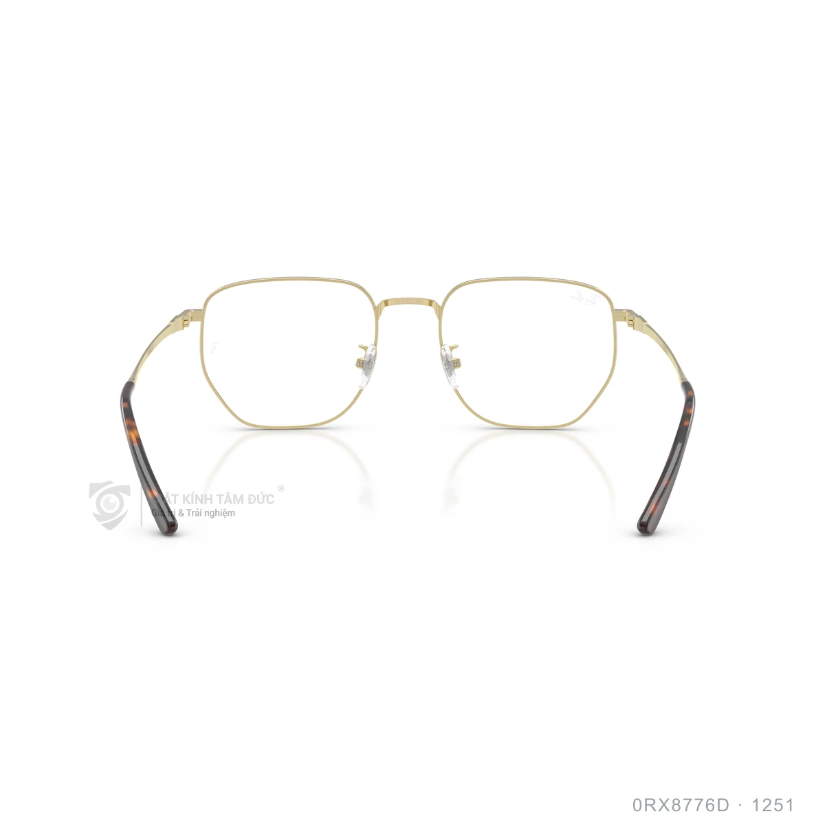 Gọng kính Rayban 0RX8776D - Ảnh 30