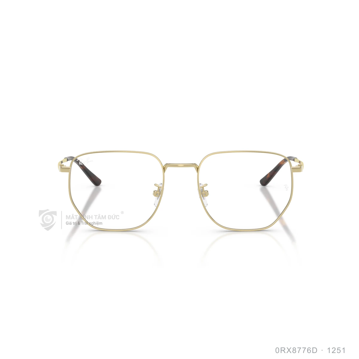 Gọng kính Rayban 0RX8776D - Ảnh 26