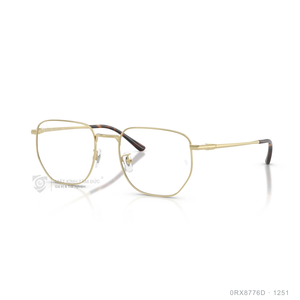 Gọng kính Rayban 0RX8776D - Ảnh 27