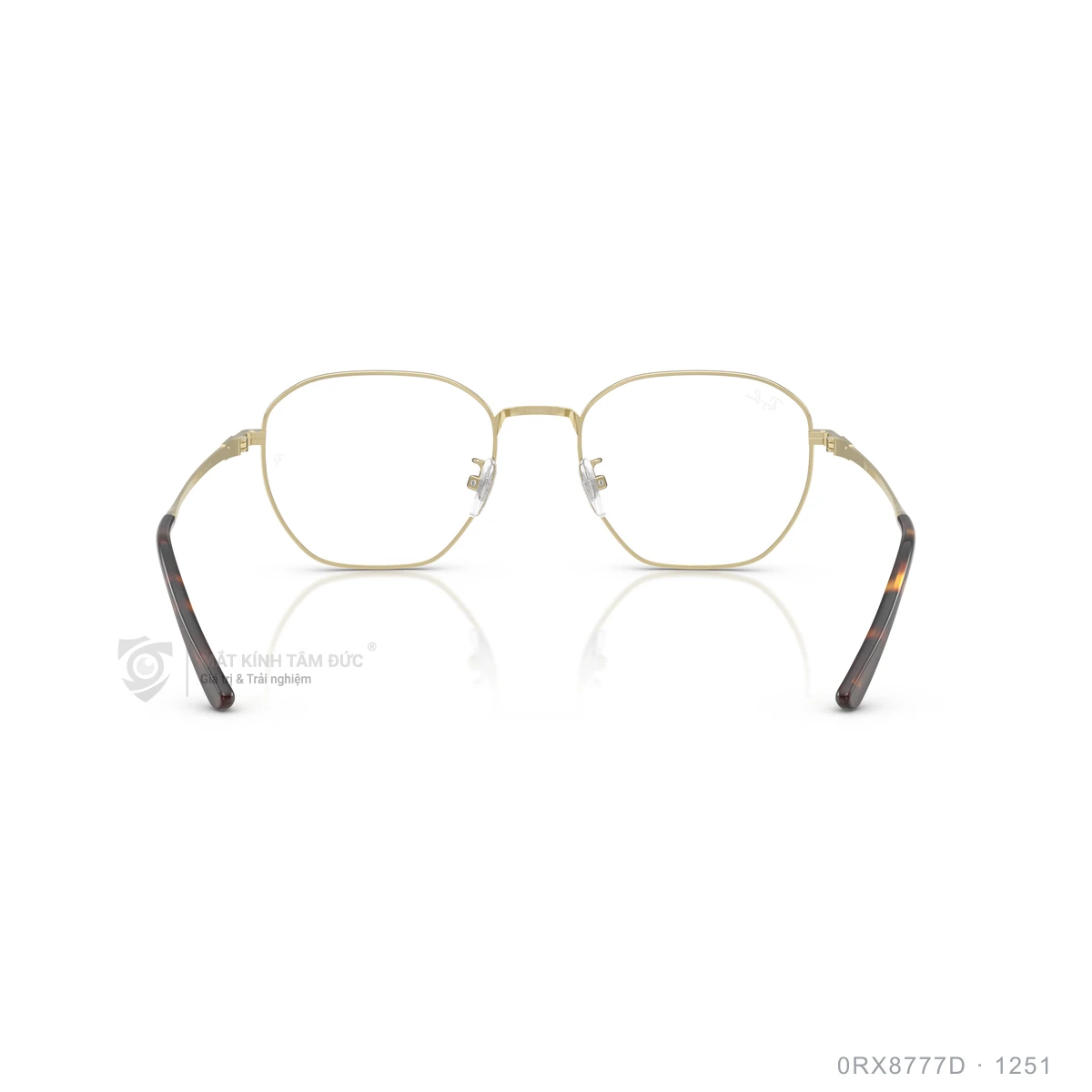 Gọng kính Rayban 0RX8777D - Ảnh 30