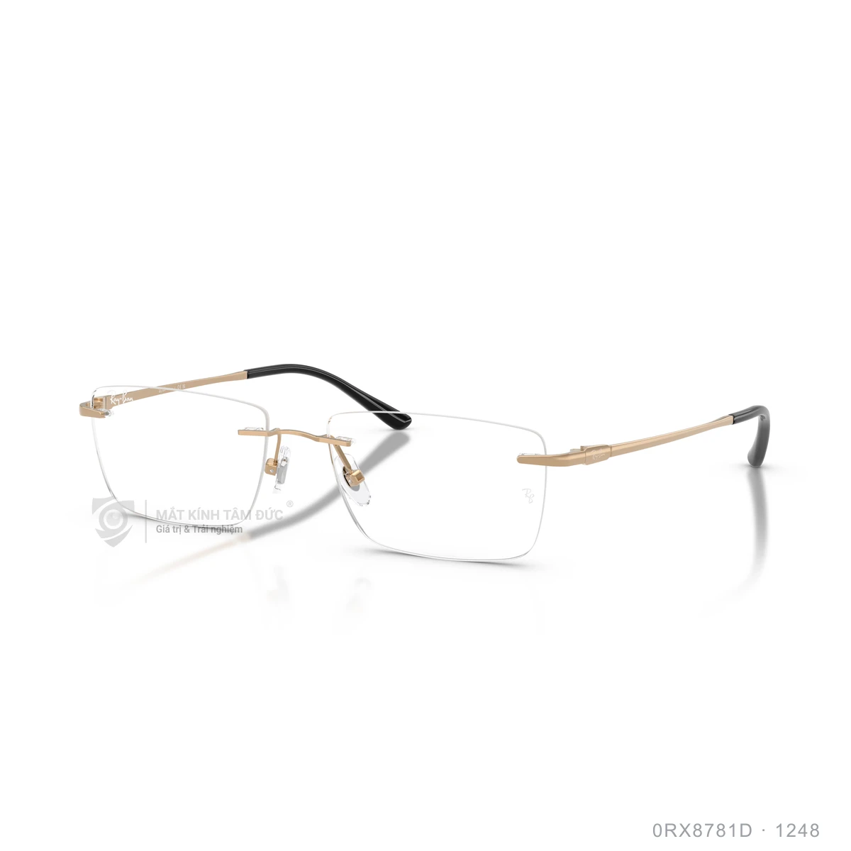 Chi tiết góc nghiêng Gọng kính Rayban 0RX8781D