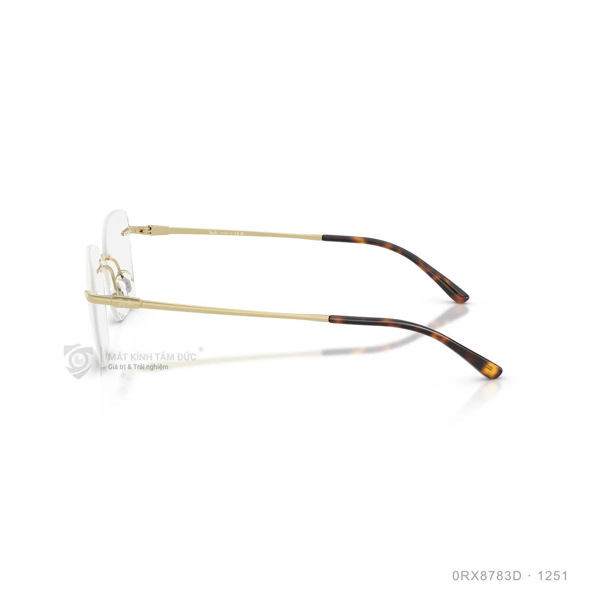 Gọng kính Rayban 0RX8783D - Ảnh 24