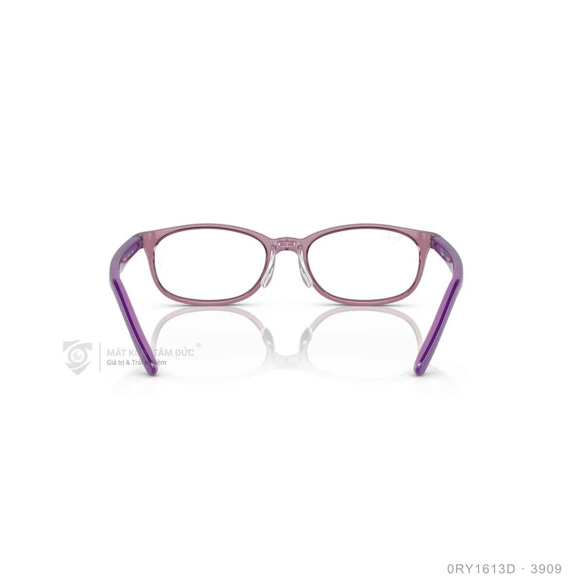 Gọng kính Rayban 0RY1613D - Ảnh 20