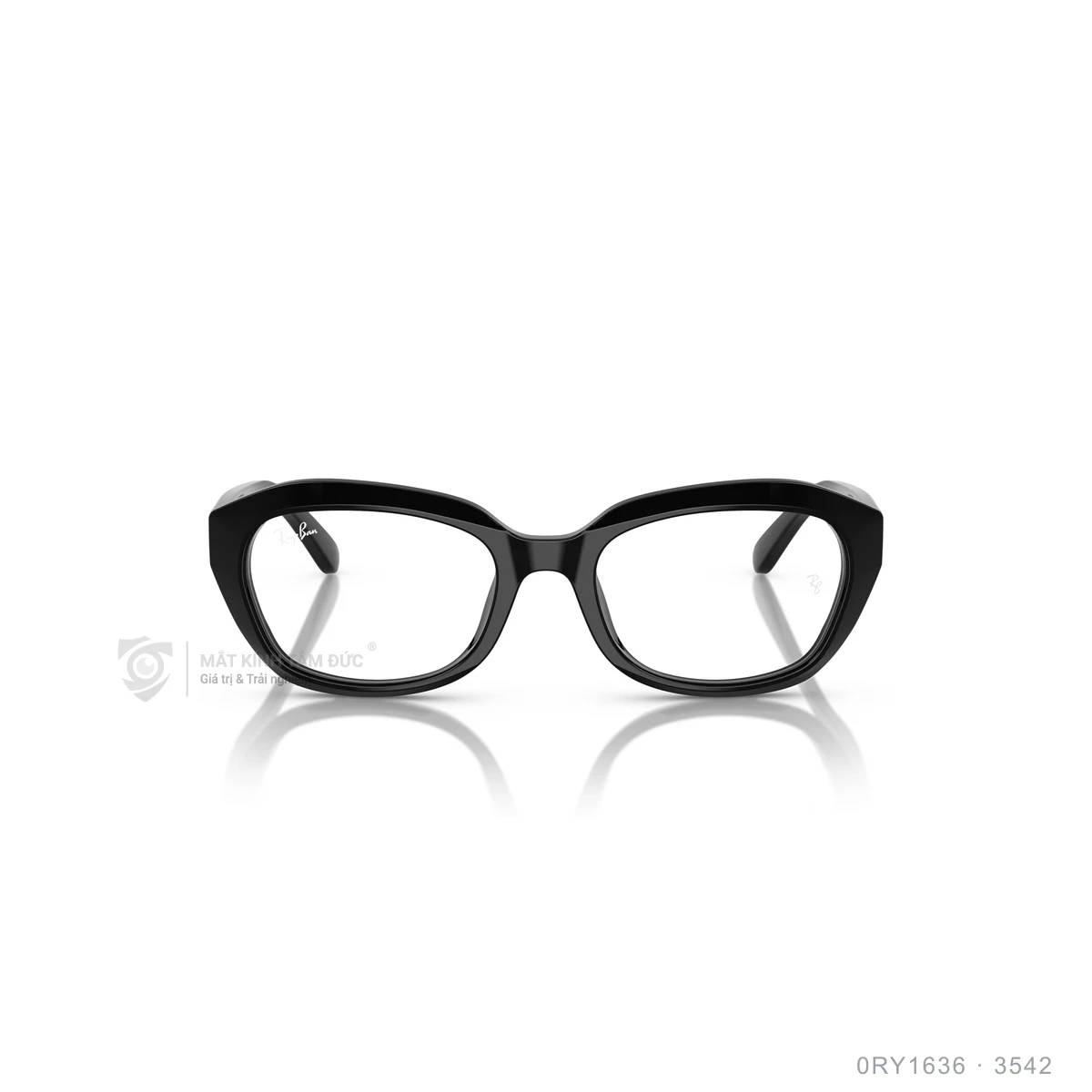 Hình ảnh thực tế Gọng kính Rayban 0RY1636