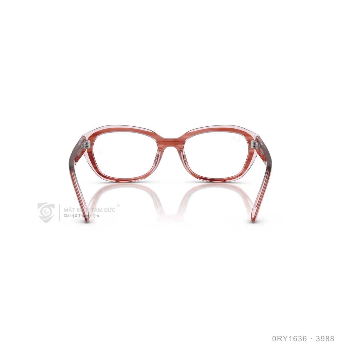 Gọng kính Rayban 0RY1636 - Ảnh 10