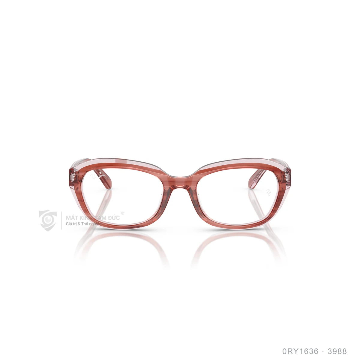 Gọng kính Rayban 0RY1636 - Ảnh 6