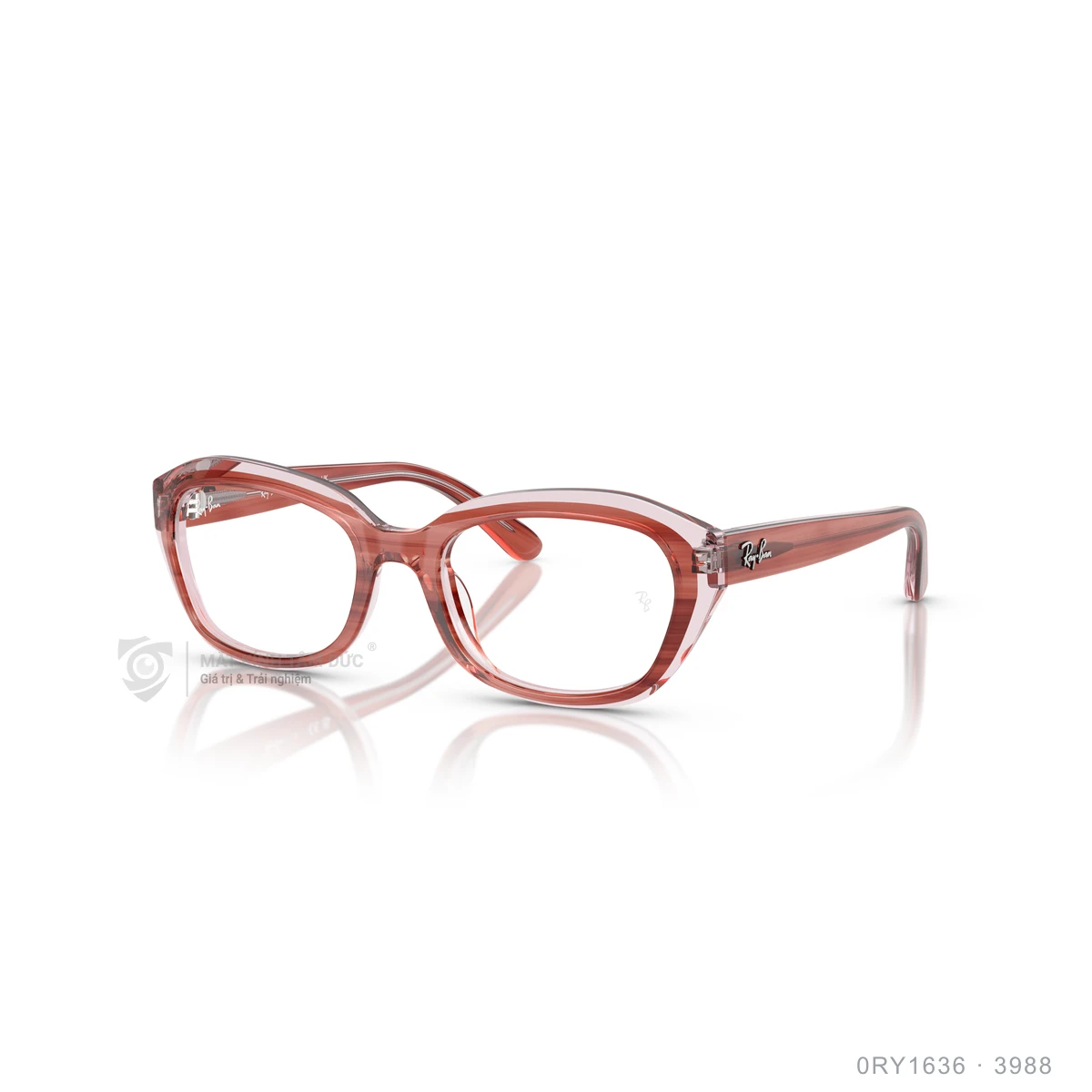 Gọng kính Rayban 0RY1636 - Ảnh 7
