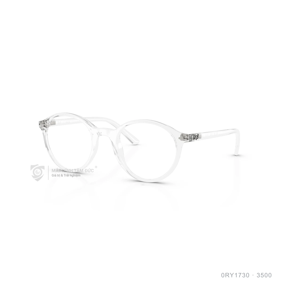 Chi tiết góc nghiêng Gọng kính Rayban 0RY1730