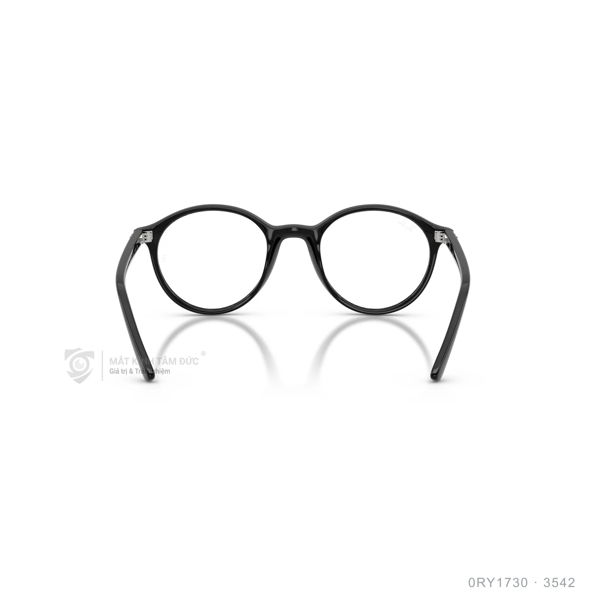 Gọng kính Rayban 0RY1730 - Ảnh 10