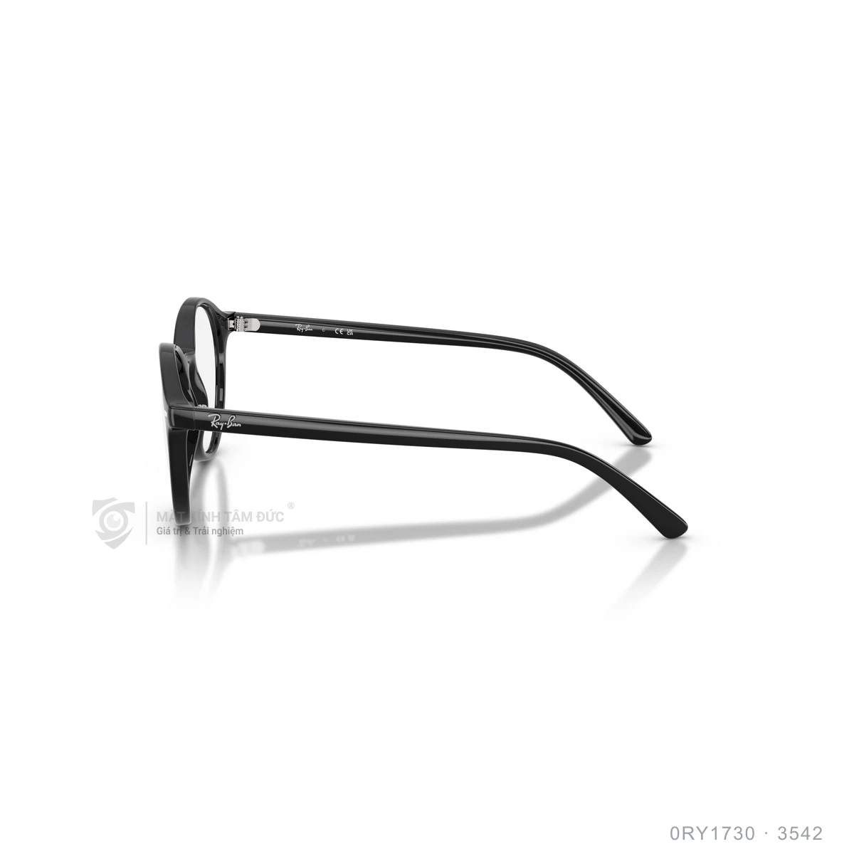 Gọng kính Rayban 0RY1730 - Ảnh 9