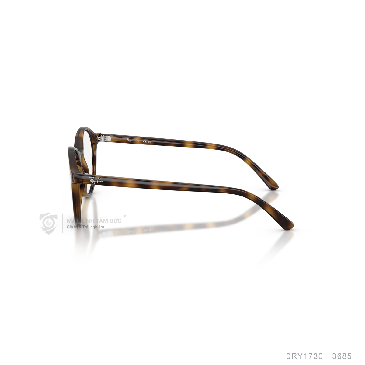 Gọng kính Rayban 0RY1730 - Ảnh 14