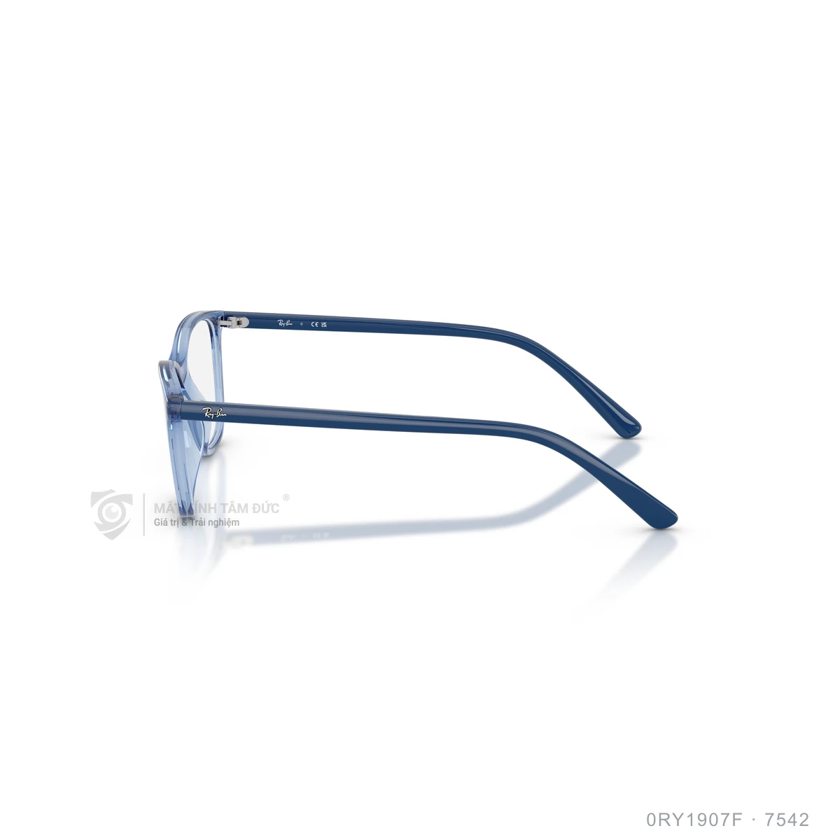 Gọng kính Rayban 0RY1907F - Ảnh 19