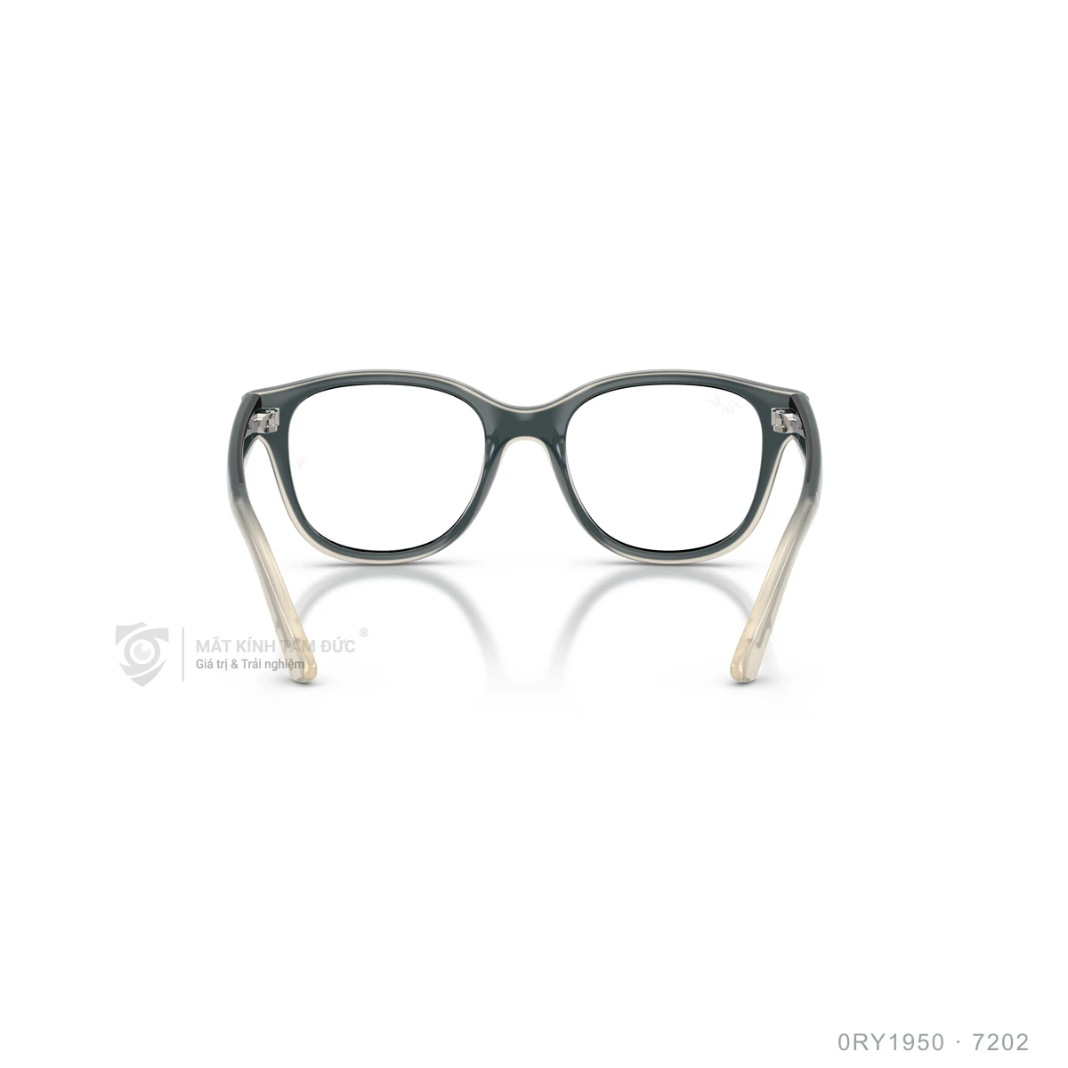 Gọng kính Rayban 0RY1950 - Ảnh 10