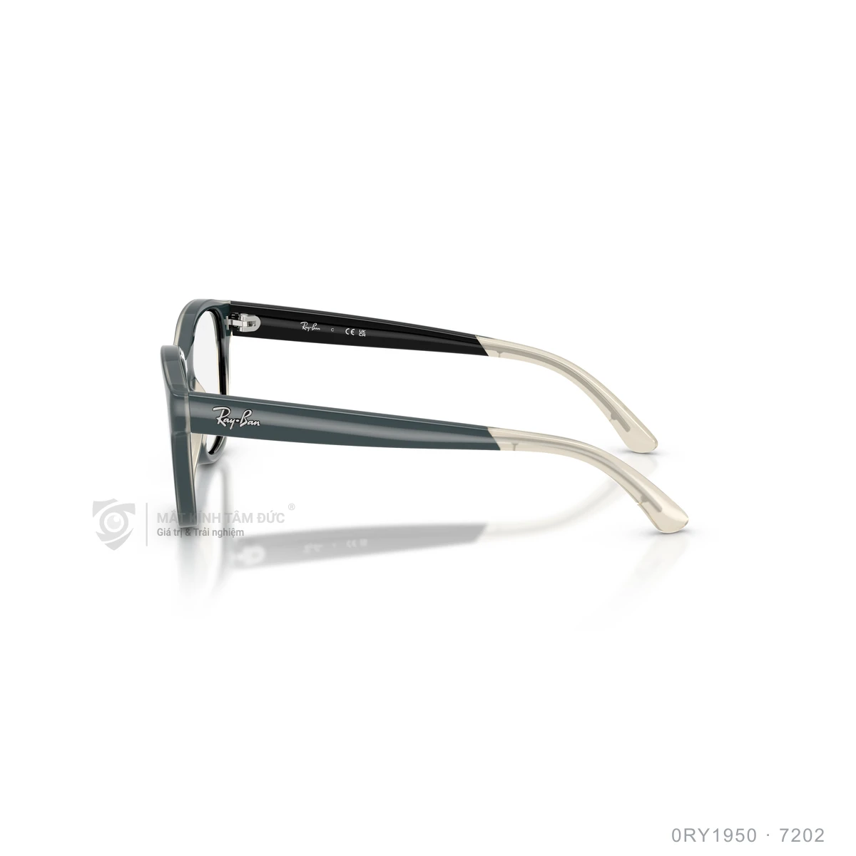 Gọng kính Rayban 0RY1950 - Ảnh 9