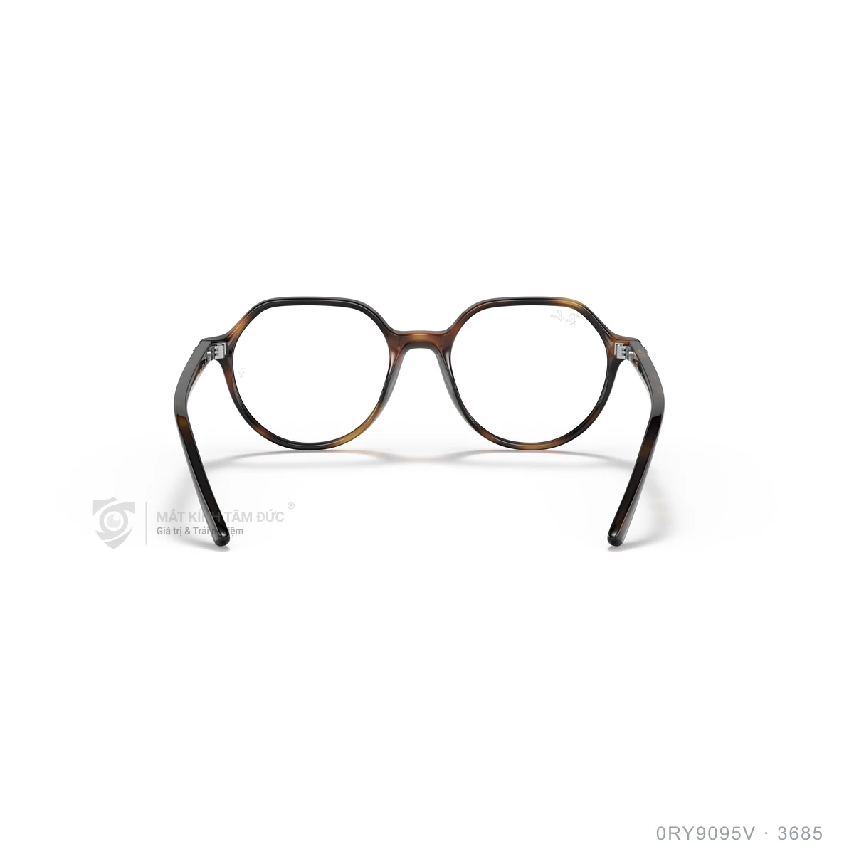 Gọng kính Rayban 0RY9095V - Ảnh 20